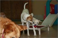 daycare pic 134 - play time